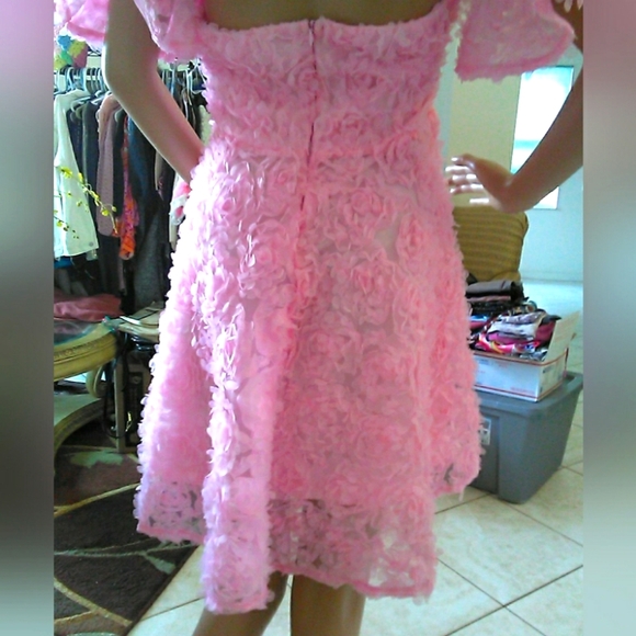 BNWOT DRESSY DRESS BY FAERIESTY SOFT PINK SZ. XL W/ 3D FLOWERS STRAPLESS LINED - Picture 7 of 11